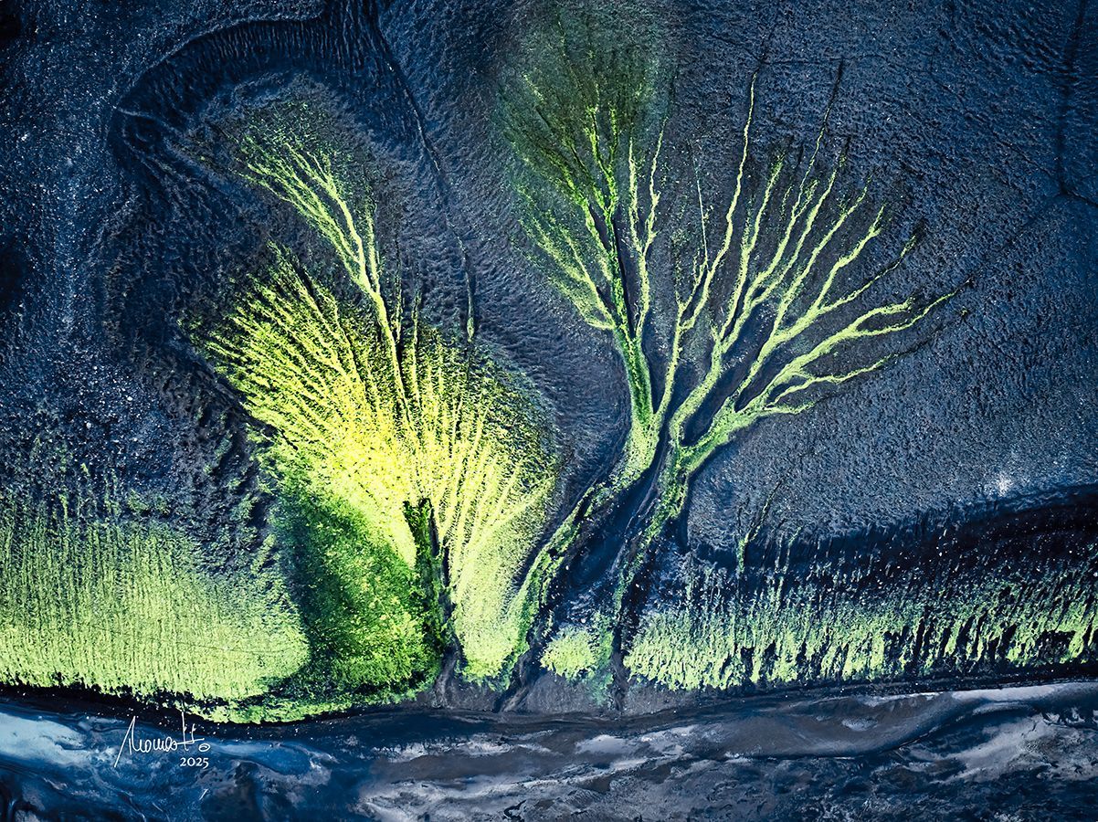 Synthesis of Life, Fotografie, ein Fine Art Druck aus der Limited Edition Serie von Thomas Hartstang, Suedereiche.Art, Island