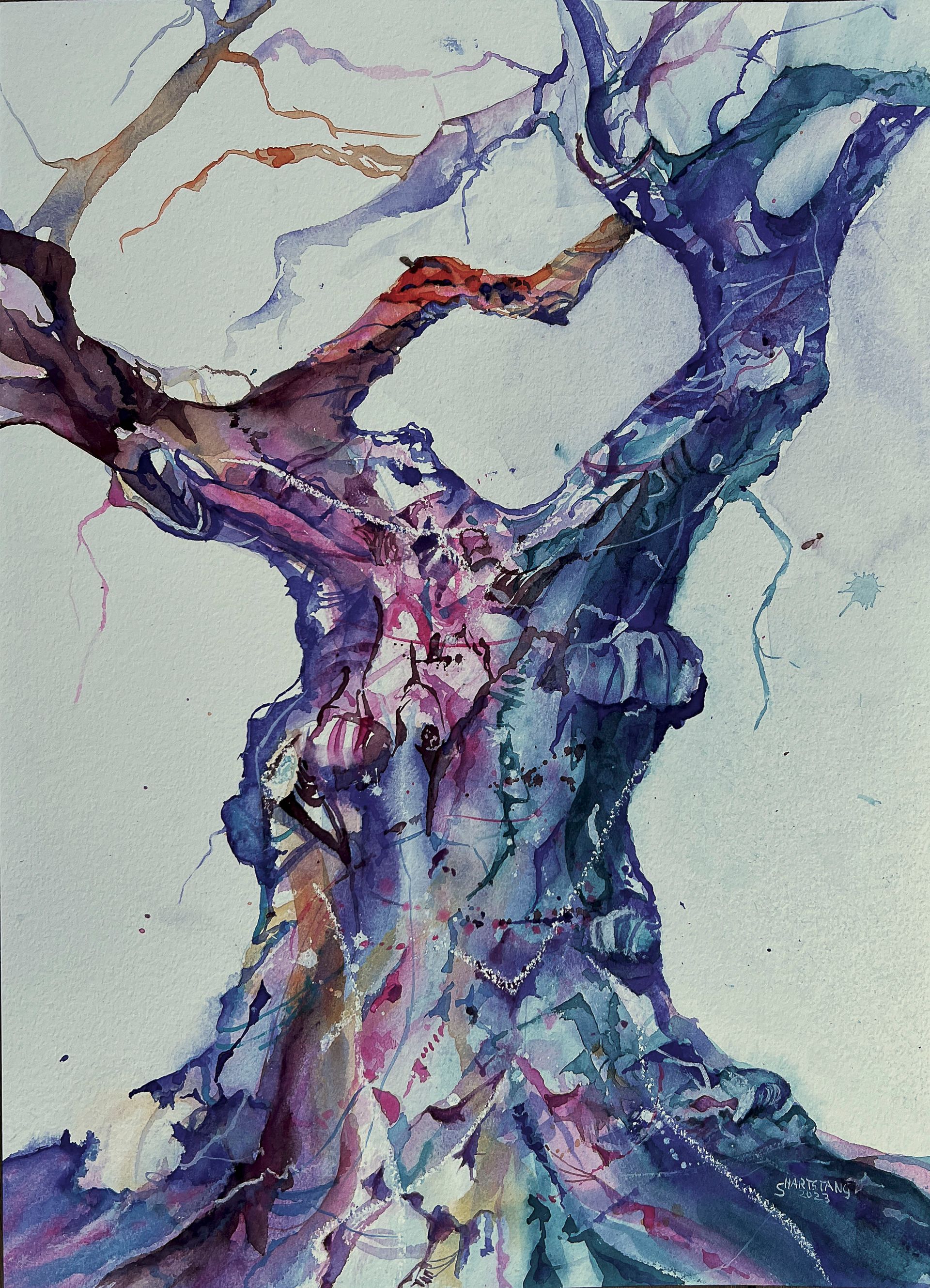 Alter Baum, ein Aquarell von Stephanie Hartstang, Südereiche.Art, Irland, Eiche, Knights Town, Valencia Island