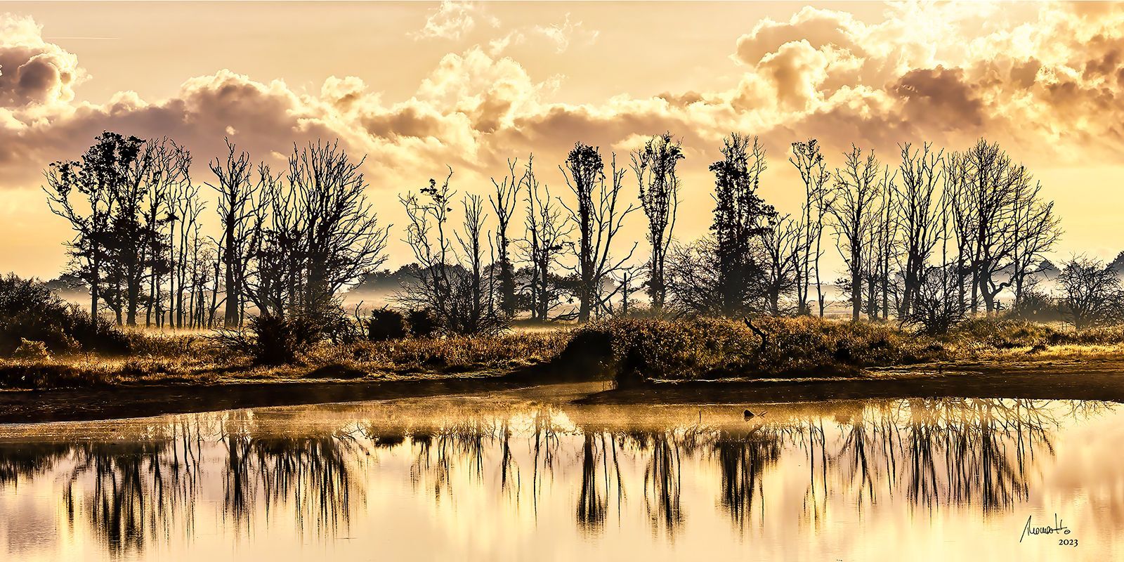 Geltinger Birk, eine Fotografie von Thomas Hartstang, suedereiche.art, Ostsee, Naturschutzgebiet, Koniks, Sonnenaufgang, Meer, Shop