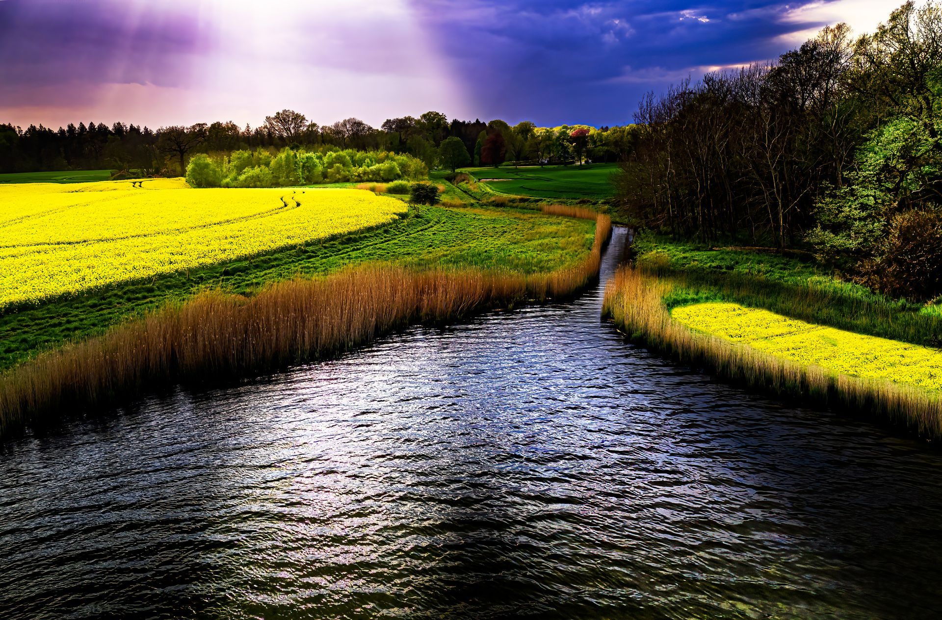 Rapsblüte bei Maasholm, German Print-Cup Top-Ten, eine Fotografie von Thomas Hartstang, suedereiche.art