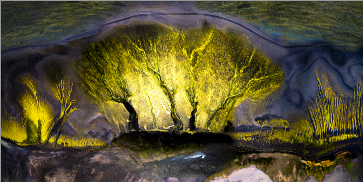 Forest of Light, prämierte Fotografie von Thomas Hartstang, südereiche.art, Drohne, Island, Landschaftsfotografie, fine art fotografie