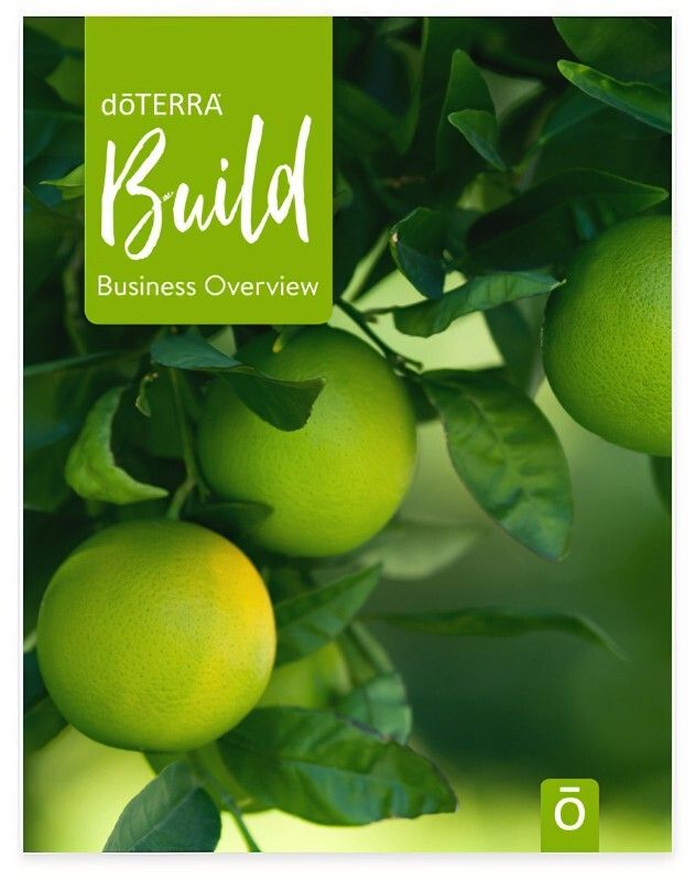 Geschäftsaufbau auf einen Blick