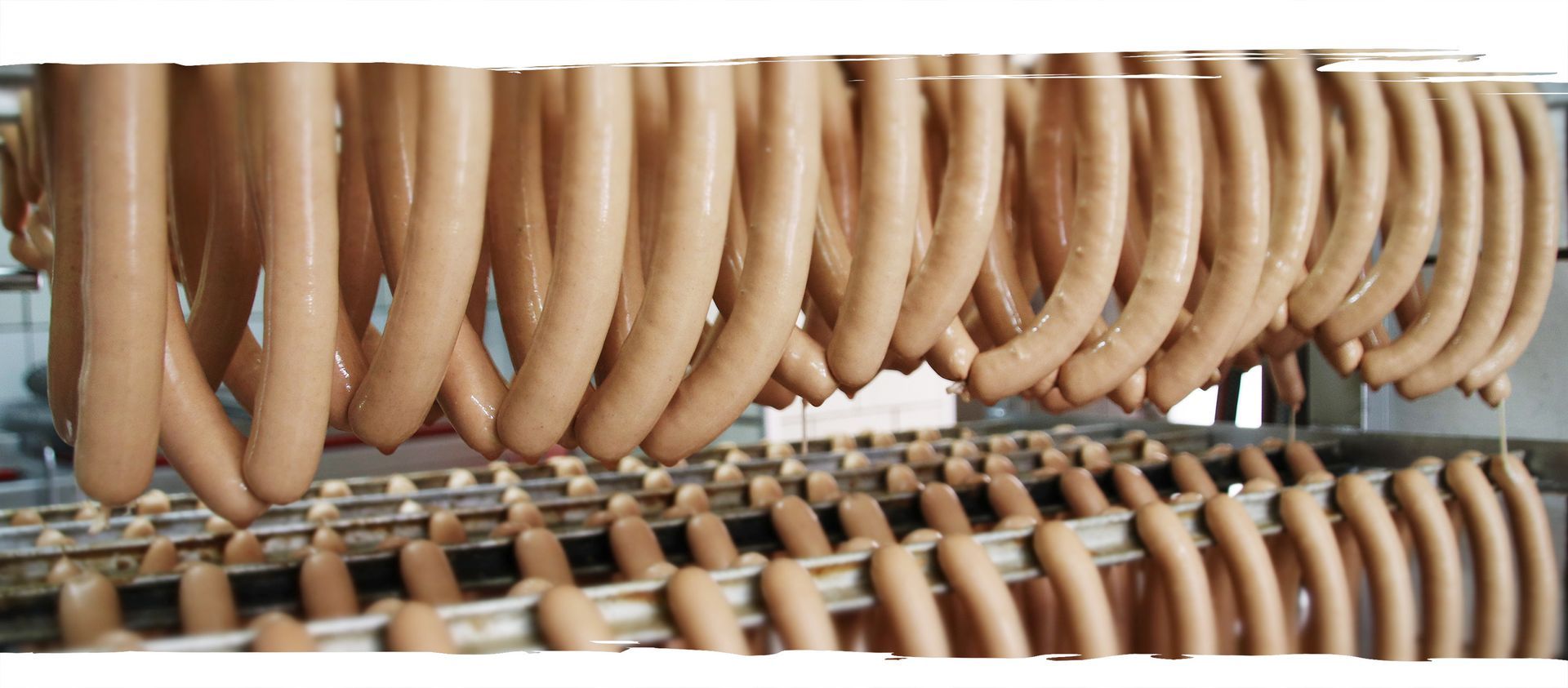 Stellenangebote Fleischerei Hein Mügeln