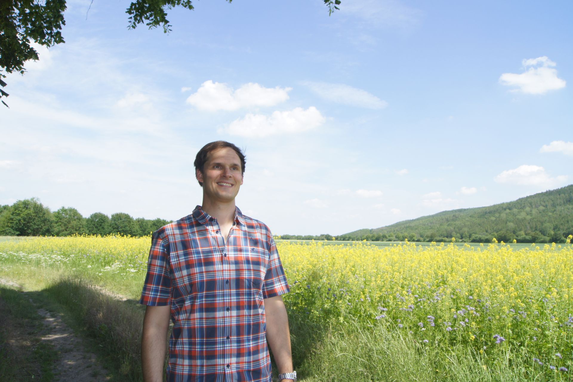 BAFA & KfW zertifizierter Energie-Effizienz-Experte oder einfach Energieberater - Jonas Scheumann