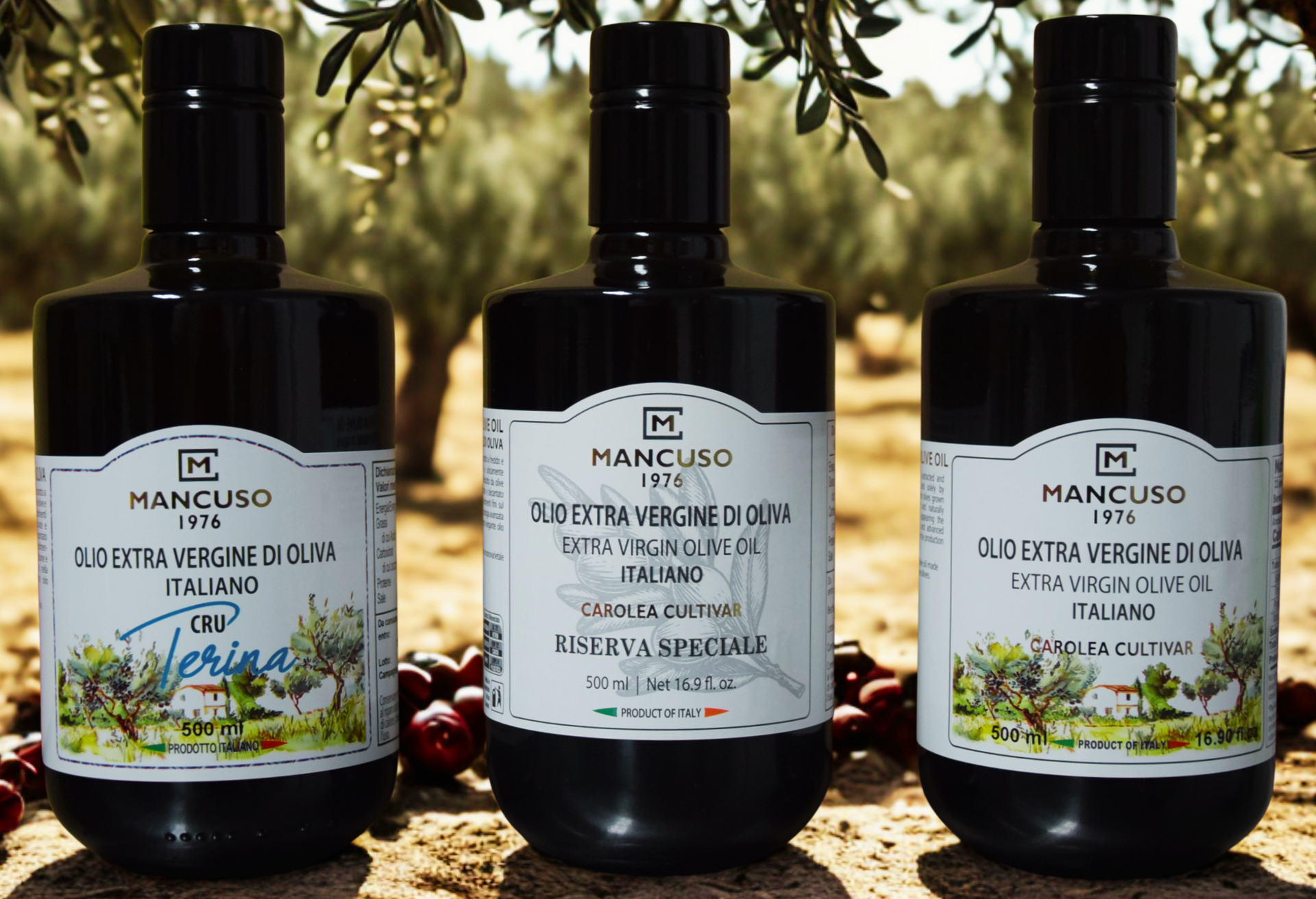 Sughi già pronti di calabria, pomodoro calabrese, nduja, passata di pomodoro, Mancuso, olio extravergine di oliva calabrese, Prodotti tipici calabresi, Lamezia Terme, cultivar Carolea calabrese, Magna Grecia Calabria
Specialità calabrese peperoncino, pomodori secchi, paté, olive, prodotti tipici calabresi, prodotti di calabria, Olio Riserva Speciale MANCUSO1976