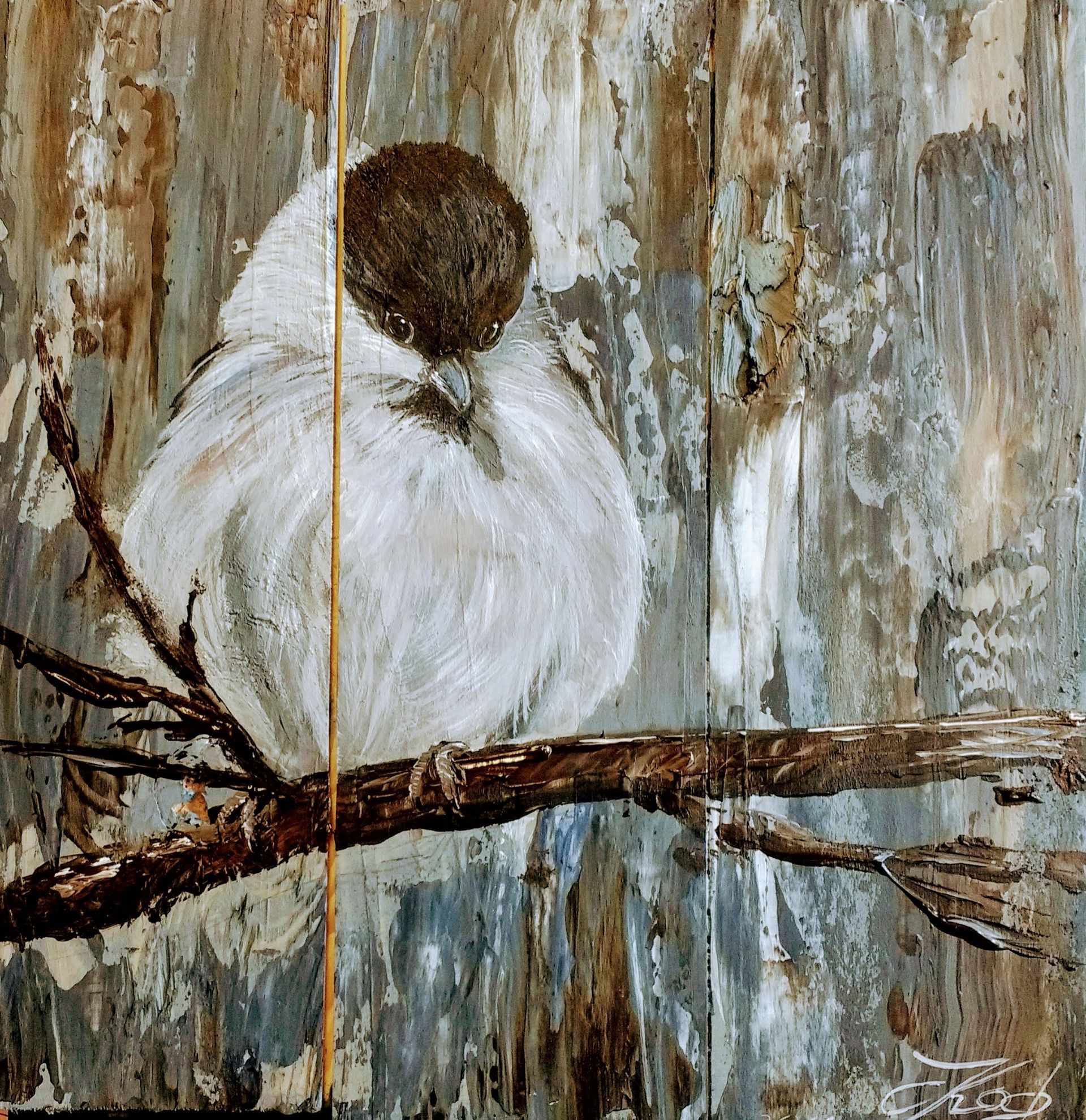 Singvogel gemalt auf Altholz Claudia Koch