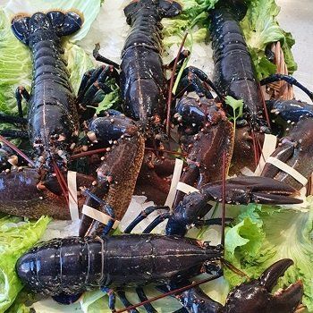 transporte aéreo a Guatemala de carga de productos perecederos como frutas, verduras, mariscos y pescados, medicinas, cosméticos.