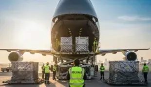 Coordinación y supervisión de despachos aduaneros para carga aérea