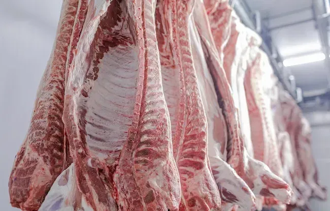 Exportación en contenedor refrigerado de productos porcinos a Japón