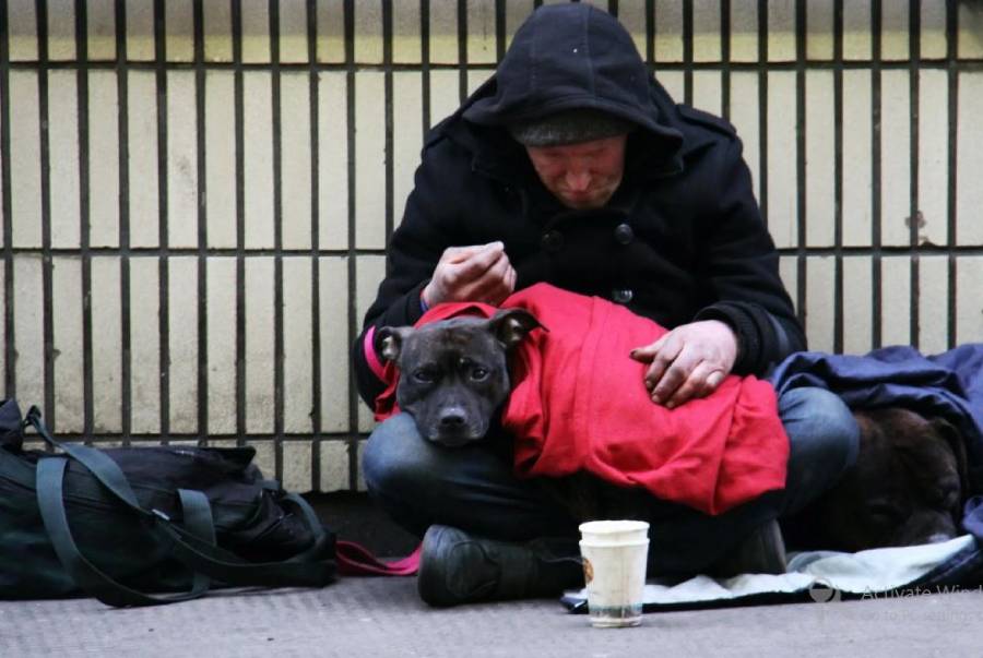 Obdachloser mit seinem Hund