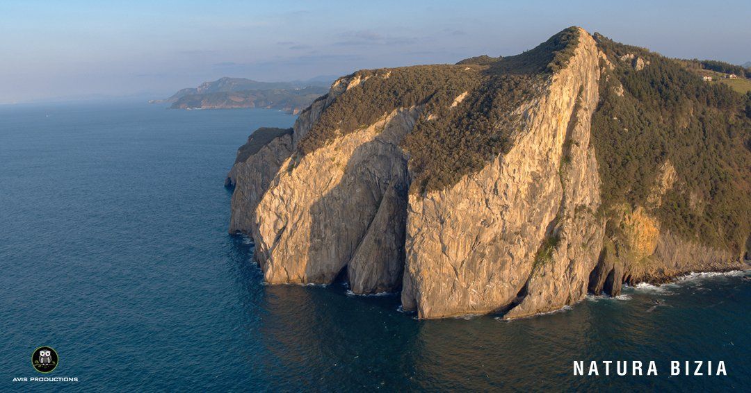 NATURA BIZIA