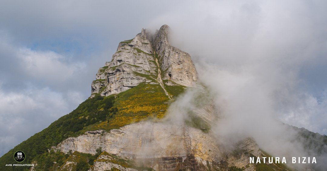 NATURA BIZIA