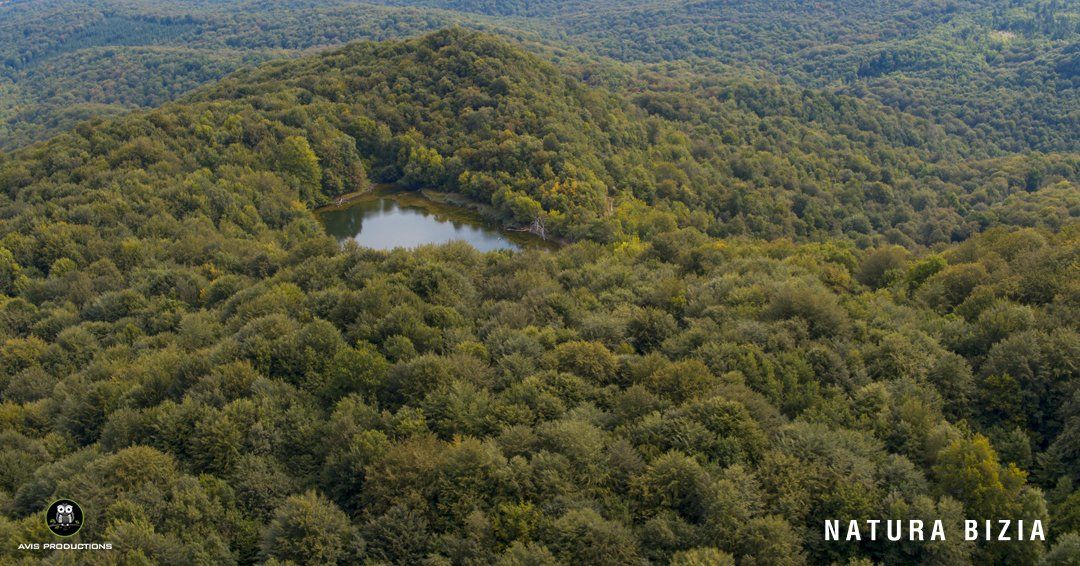 NATURA BIZIA