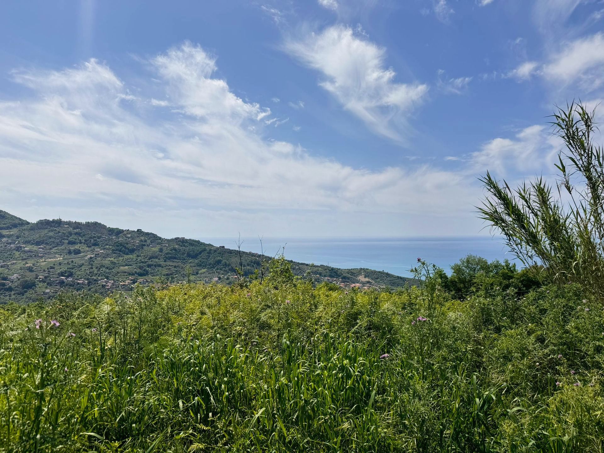 terreni in vendita