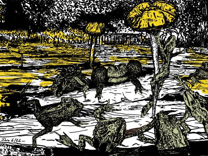 Frösche, See, Pole Dance, Bild, Wandbild, Kunstdruck