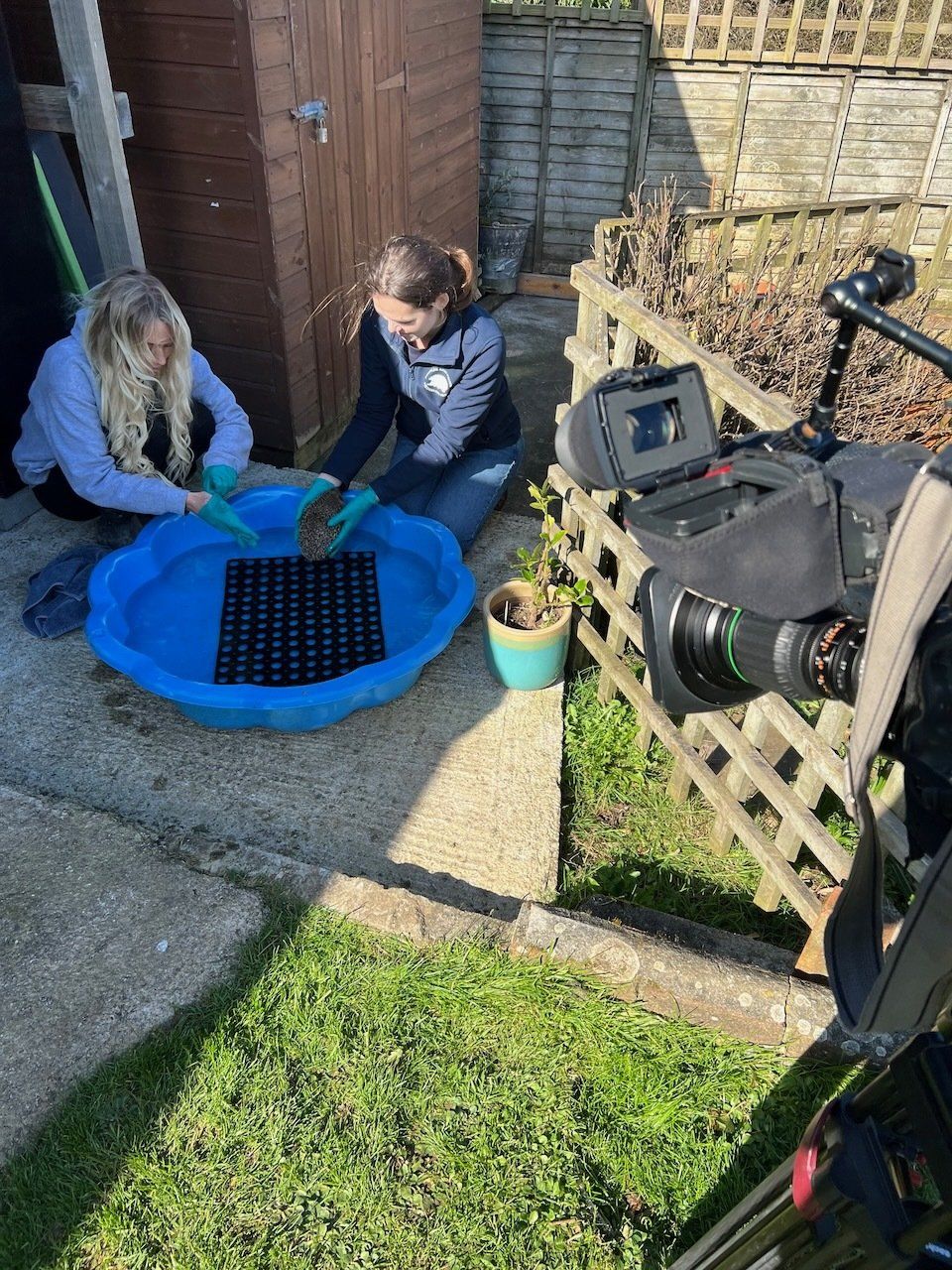 Filming at a hedgehog sanctuary