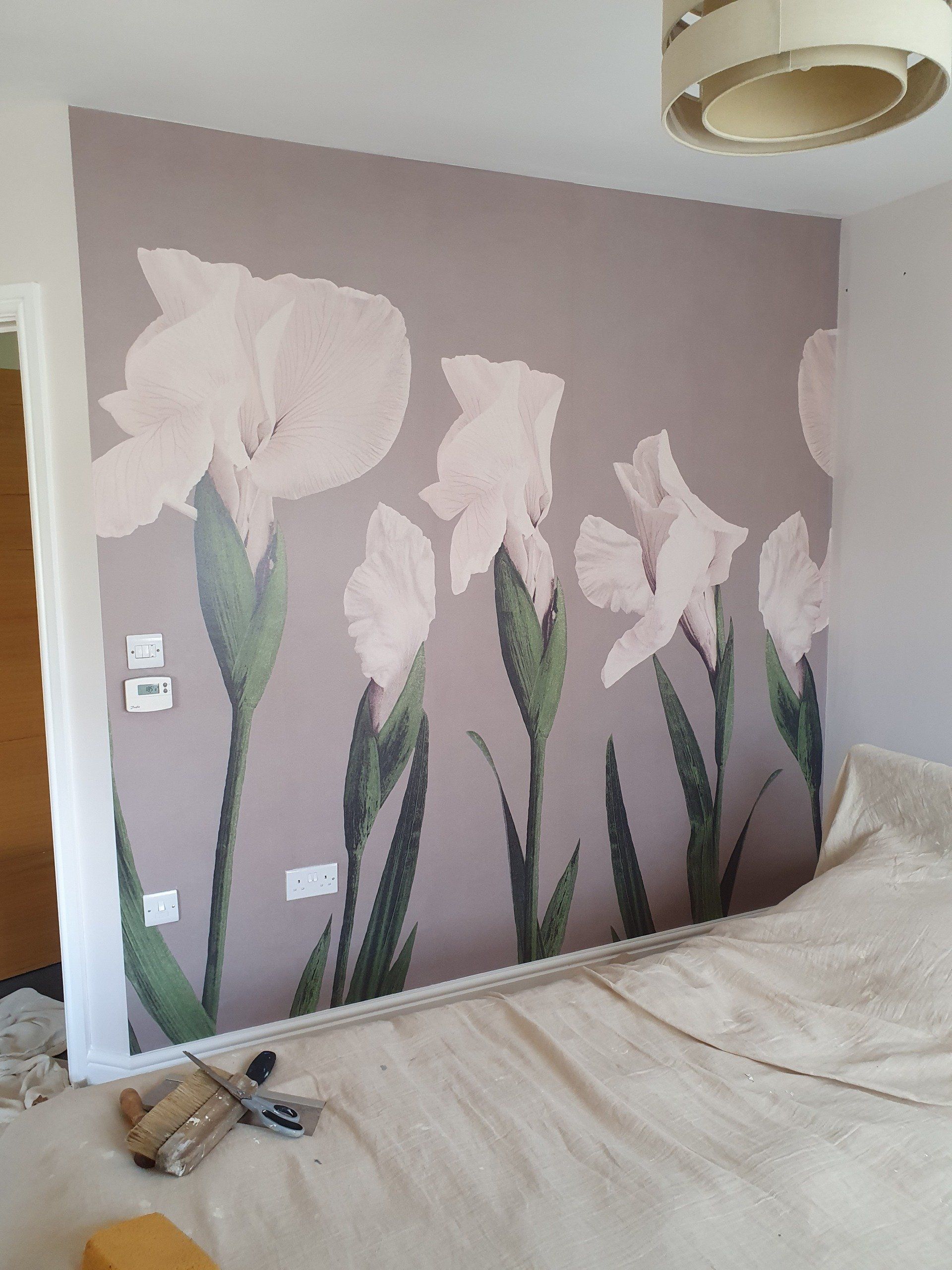 Mural wallpaper Wallpaper Mural in Nottingham