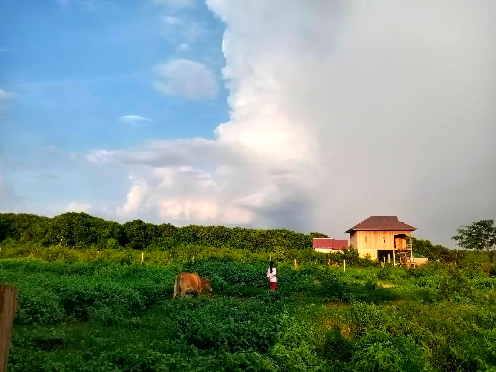 Ratanakiri Homestay Sangai Cambodge