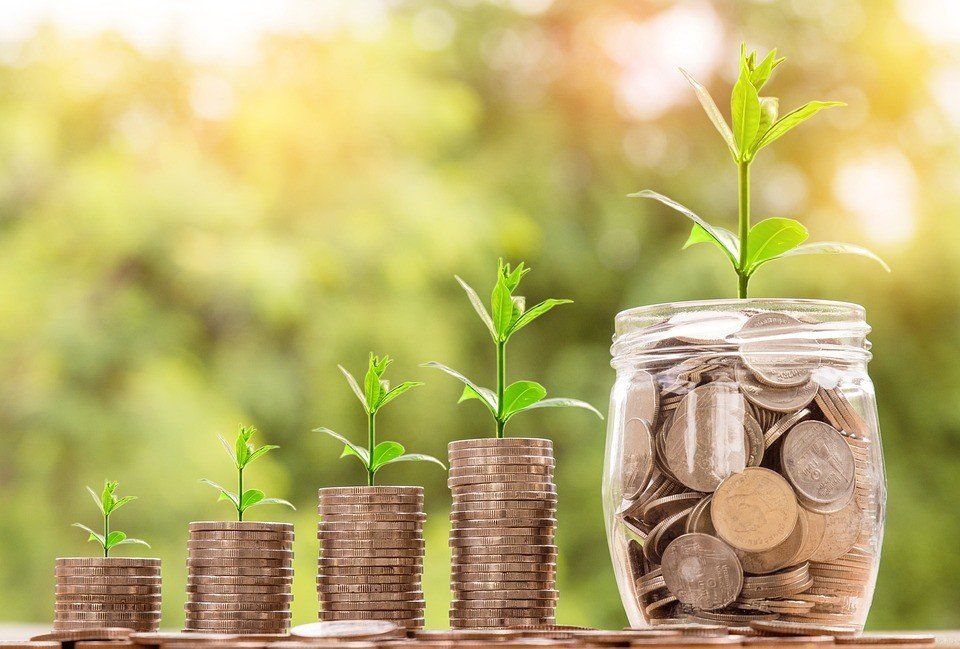 Représentation de l'avancement économique De la monnaies et des plantes
