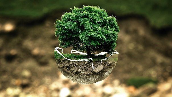 La prévention des effets néfastes sur la planète Arbre signe de l'ecologie