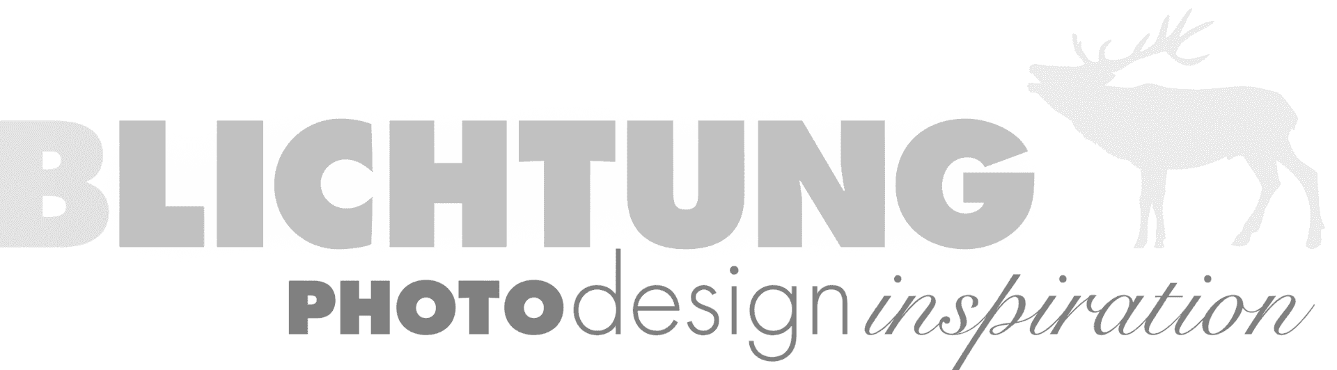 Fotografie, Fotograf, Sandra Bollhöfer, Design, Portfolio,Designer, Wiesbaden, Porträtfotograf, Portraitfotograf, Webdesigner, Website, Logo, Existenzgründer, Gründer, Porträt, Tierfotografie, Inspiration, Location-Fotografie