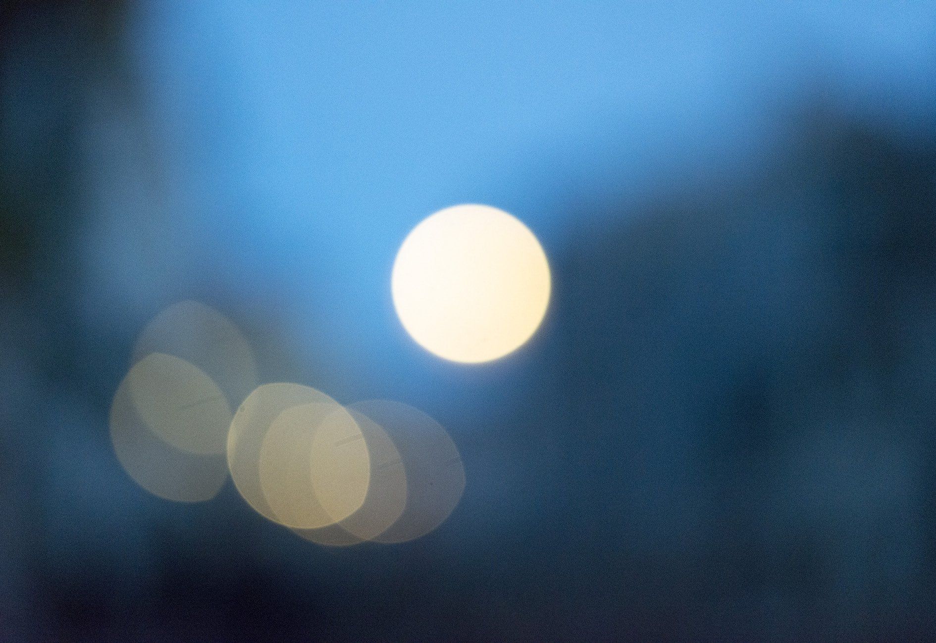 Webdesign Wiesbaden, Sandra Bollhöfer, Fotograf, Fotografie