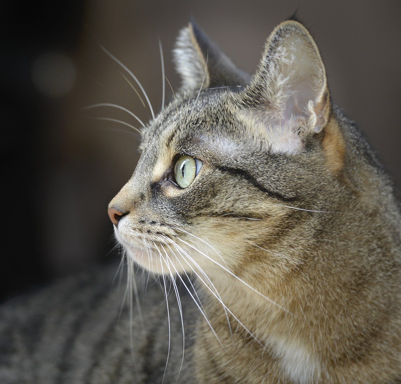 Webdesign Wiesbaden, Sandra Bollhöfer, Fotograf, Fotografie