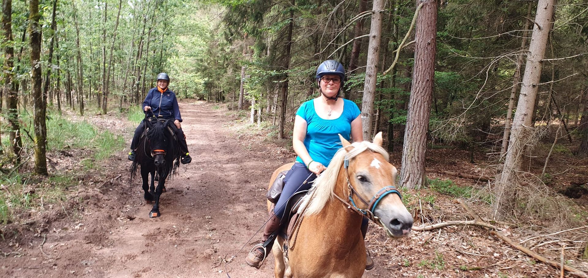 Smilla in den Vogesen auf Wanderritt, Wanderritte in Mecklenburg Vorpommern, Ausreiten
