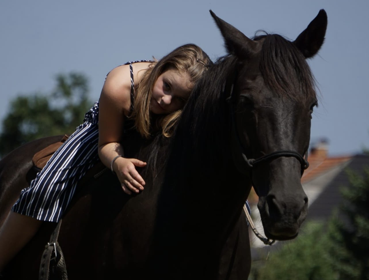 Therapie mit Pferden, Stiller Kamerad, Coaching, Jugendliche, Erwachsene