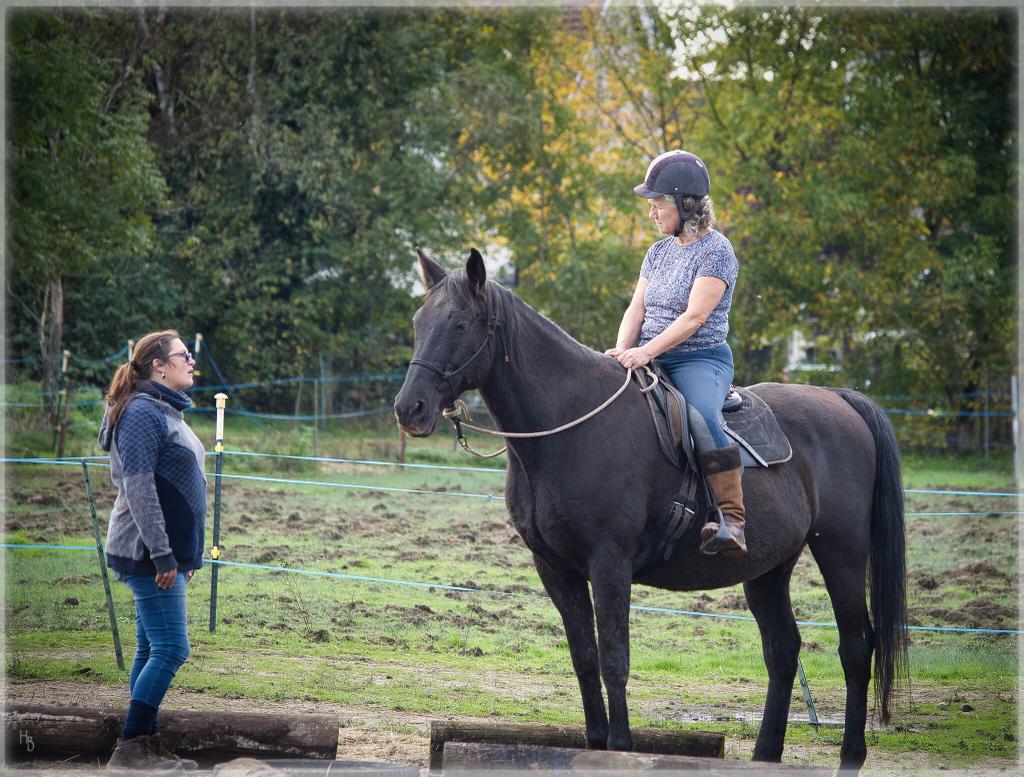 Bandit und Jenny Becker beim Anfängerreitunterricht