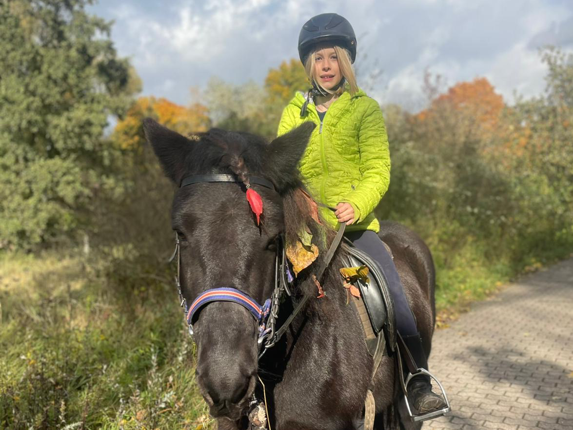 Pferdesprache lernen, Körpersprache, Horsemanship, Alt Jabel, Mecklenburg Vorpommern, Reiten lernen, Kinder und Erwachsene, Bodenarbeit, Wanderreiten, Ausritte, Reitunterricht, Pferde, Partnerschaft, Pferdekommunikation