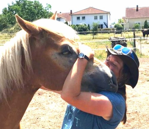 Pferdesprache lernen, Körpersprache, Horsemanship, Alt Jabel, Mecklenburg Vorpommern, Reiten lernen, Kinder und Erwachsene, Bodenarbeit, Wanderreiten, Ausritte, Reitunterricht, Pferde, Partnerschaft, Pferdekommunikation