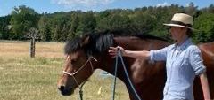 weitere Angebote Wanderreiten, Kurse und Seminare, Reiten lernen, Pferdezeit, Reiten und Kinder