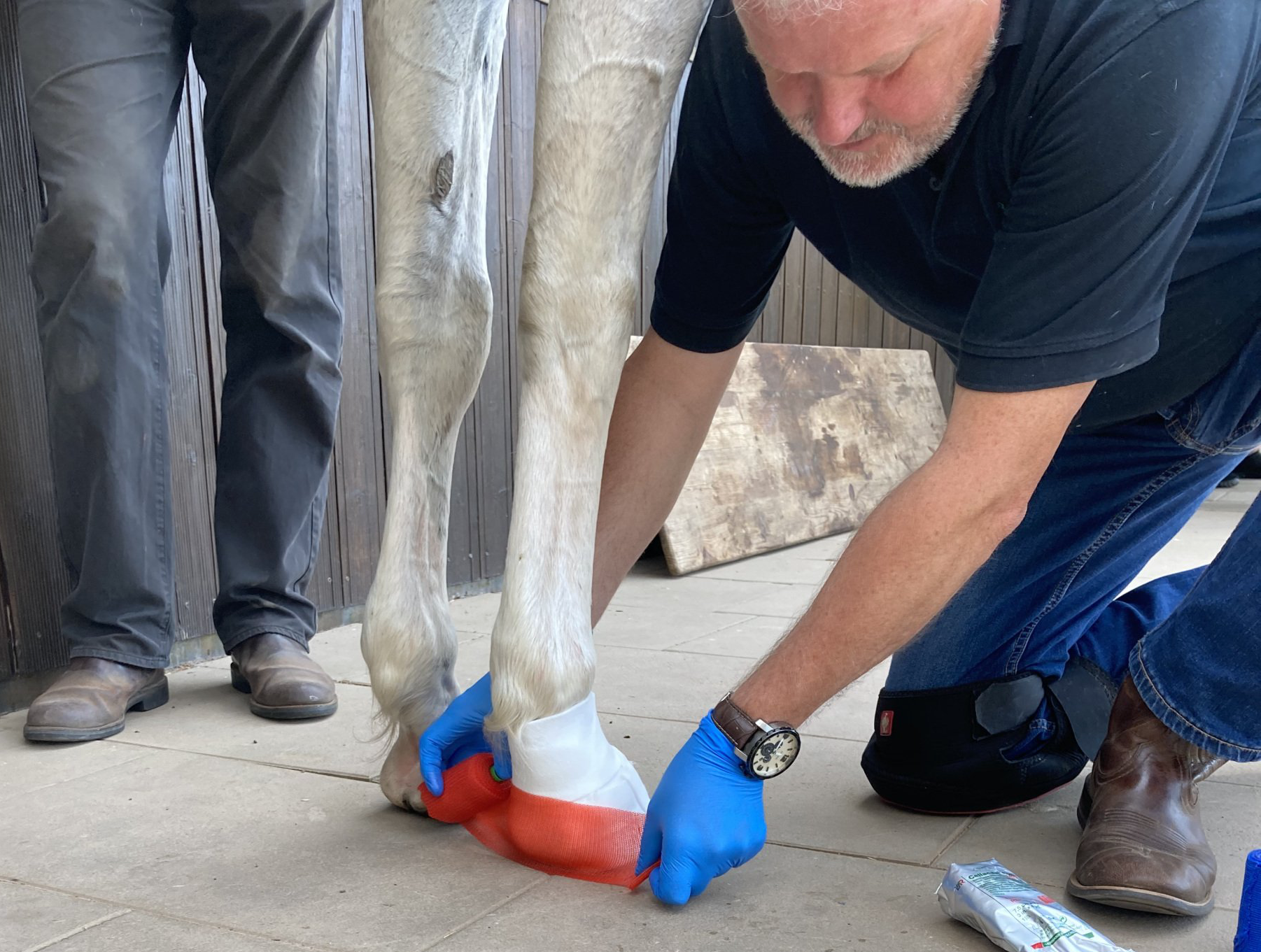 Peter Denius beim Seminar alternative Verbandstechniken