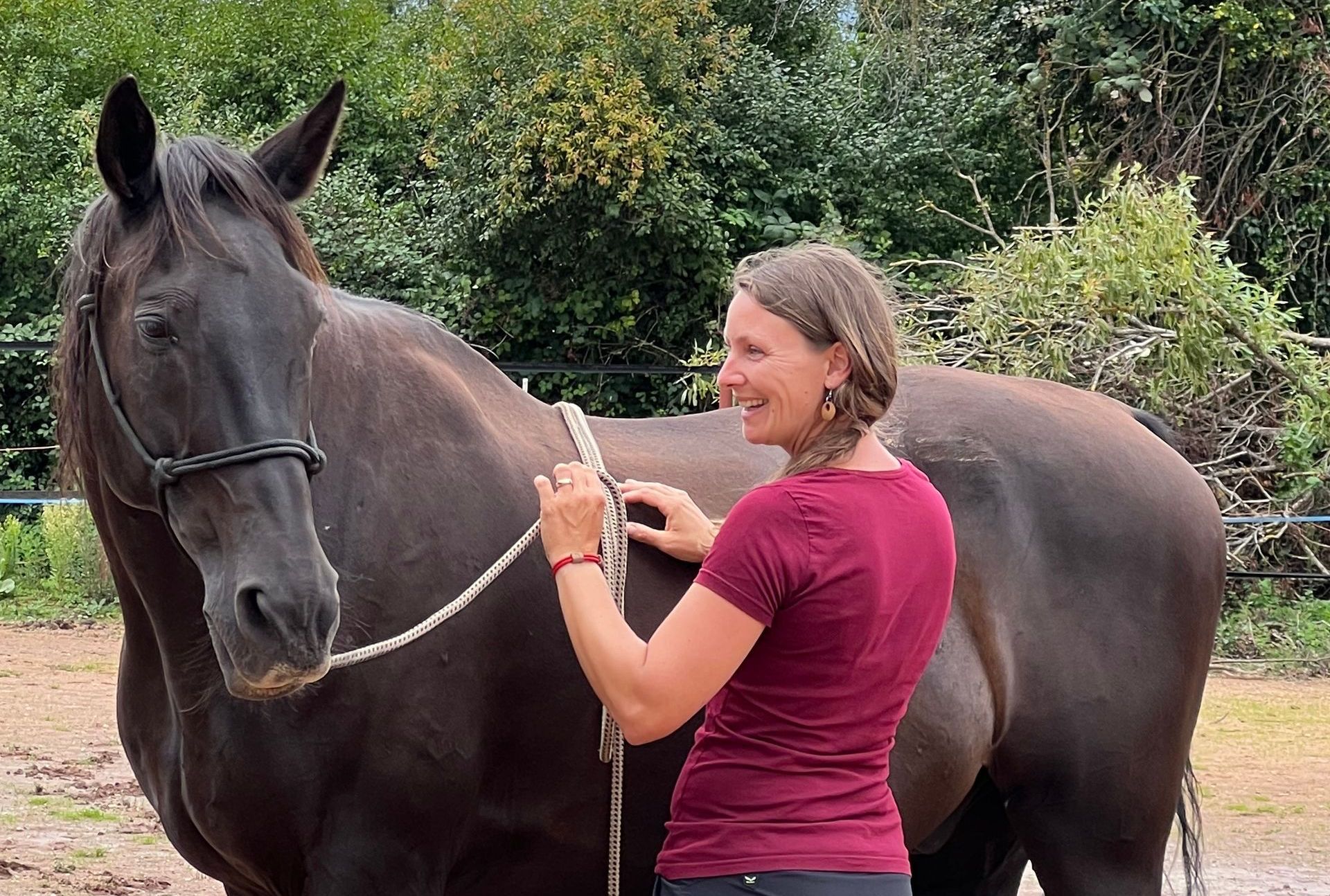 Horsemanship, Bodenarbeit, Kommunikation mit dem Pferd