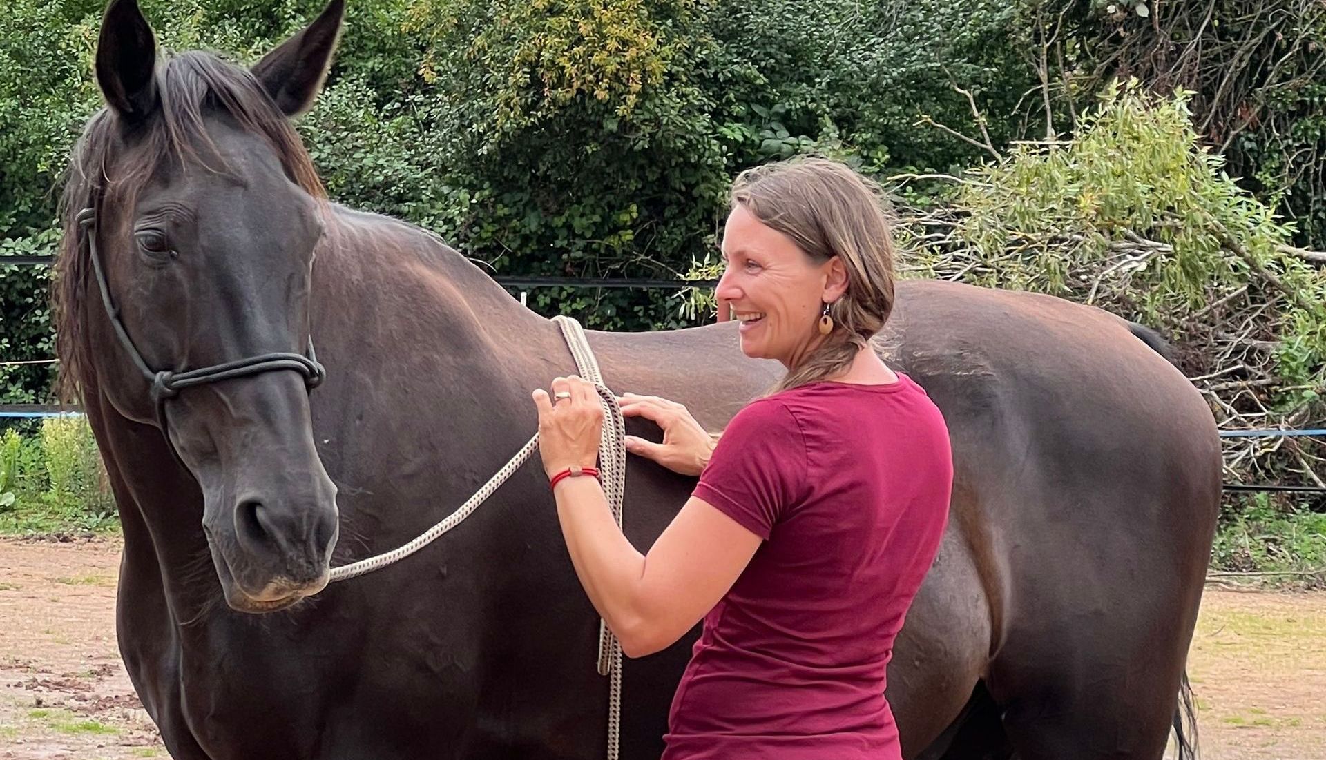 Laterale Biegung mit einem schwarzen Pferd