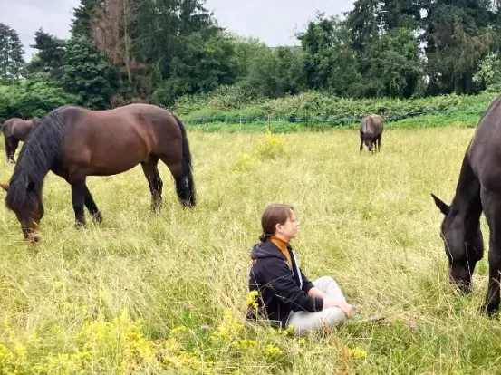 Eine Junge Frau sitzt zwischen den Pferden auf der Koppel
