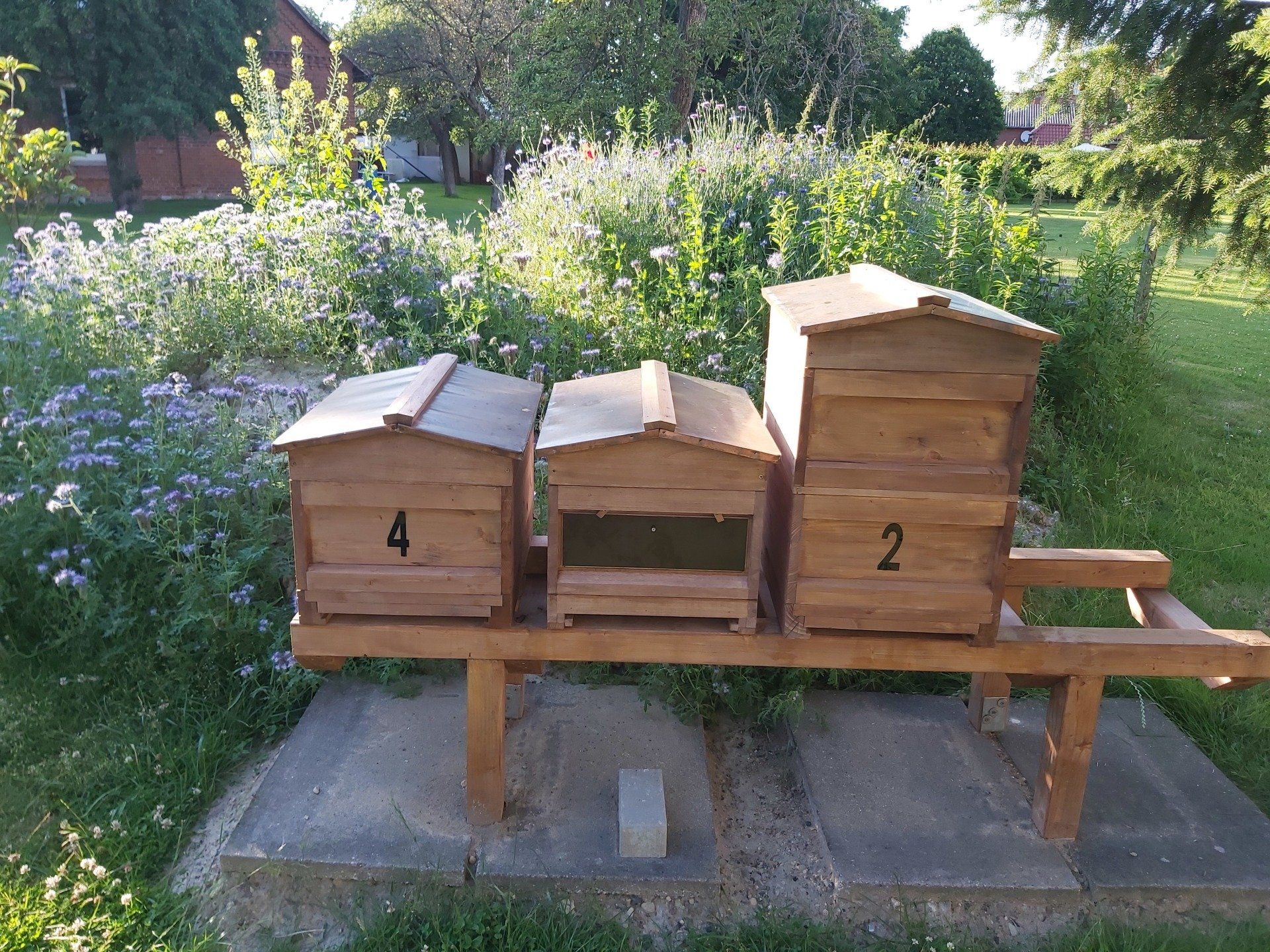 Bienenkaten im Garten