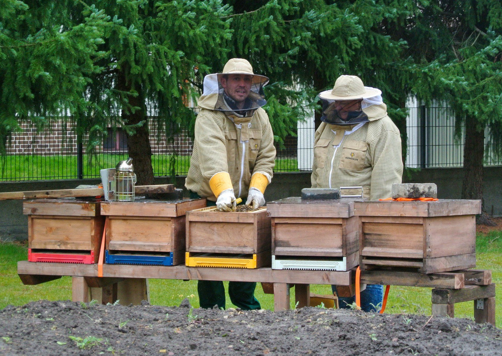 Imker arbeiten am Bienenvolk