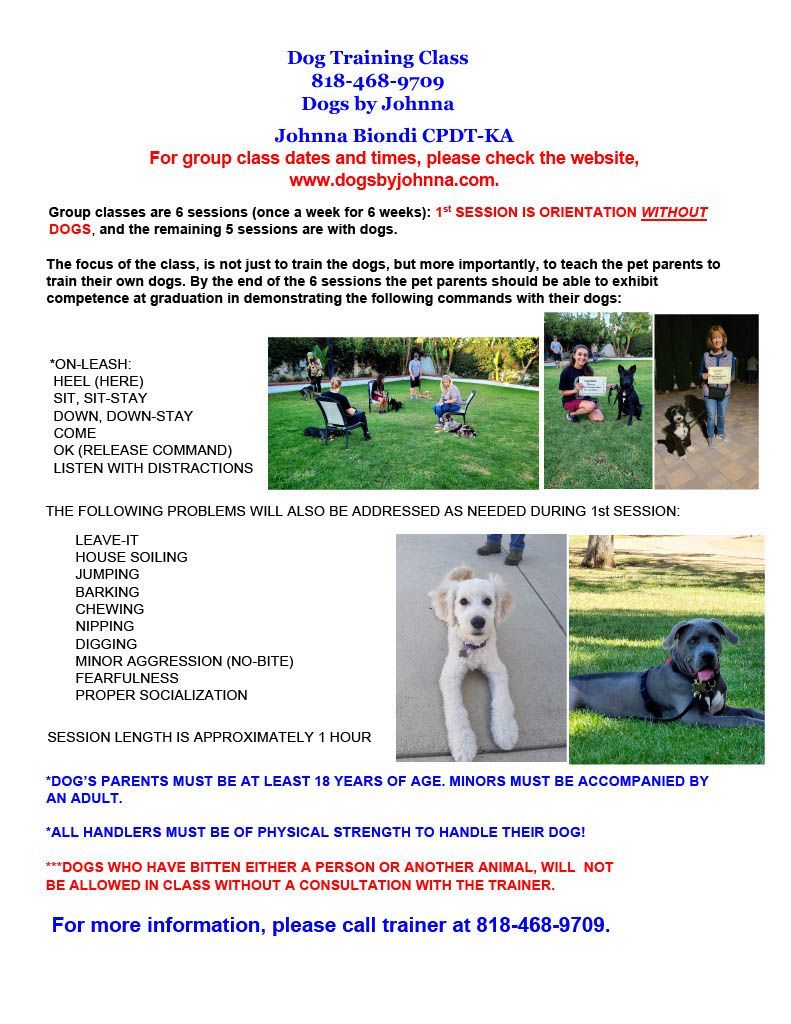 Dog Trainer in Simi Valley, CA