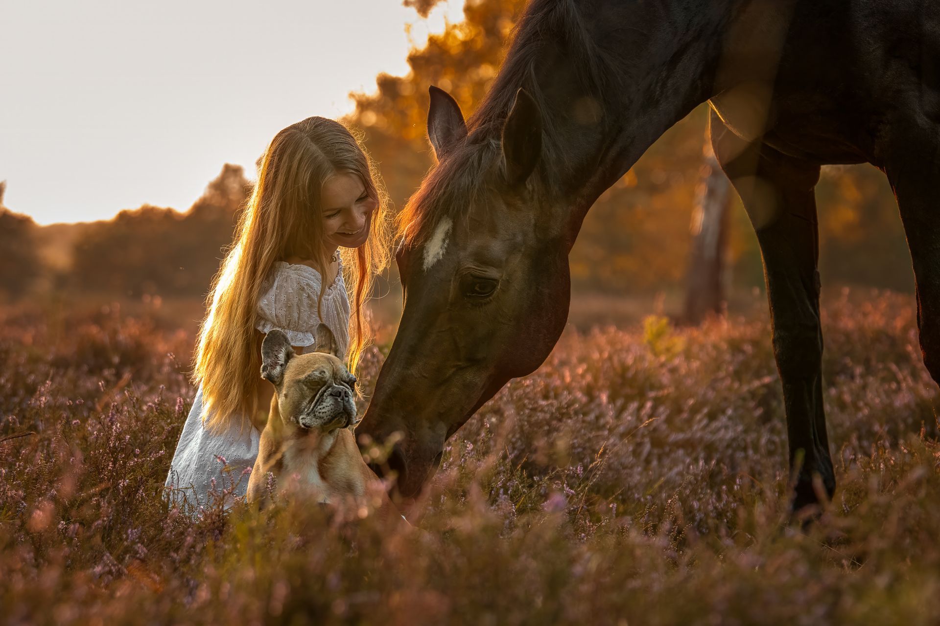 Natürliche Fotografie Pferd und Hundefotografie