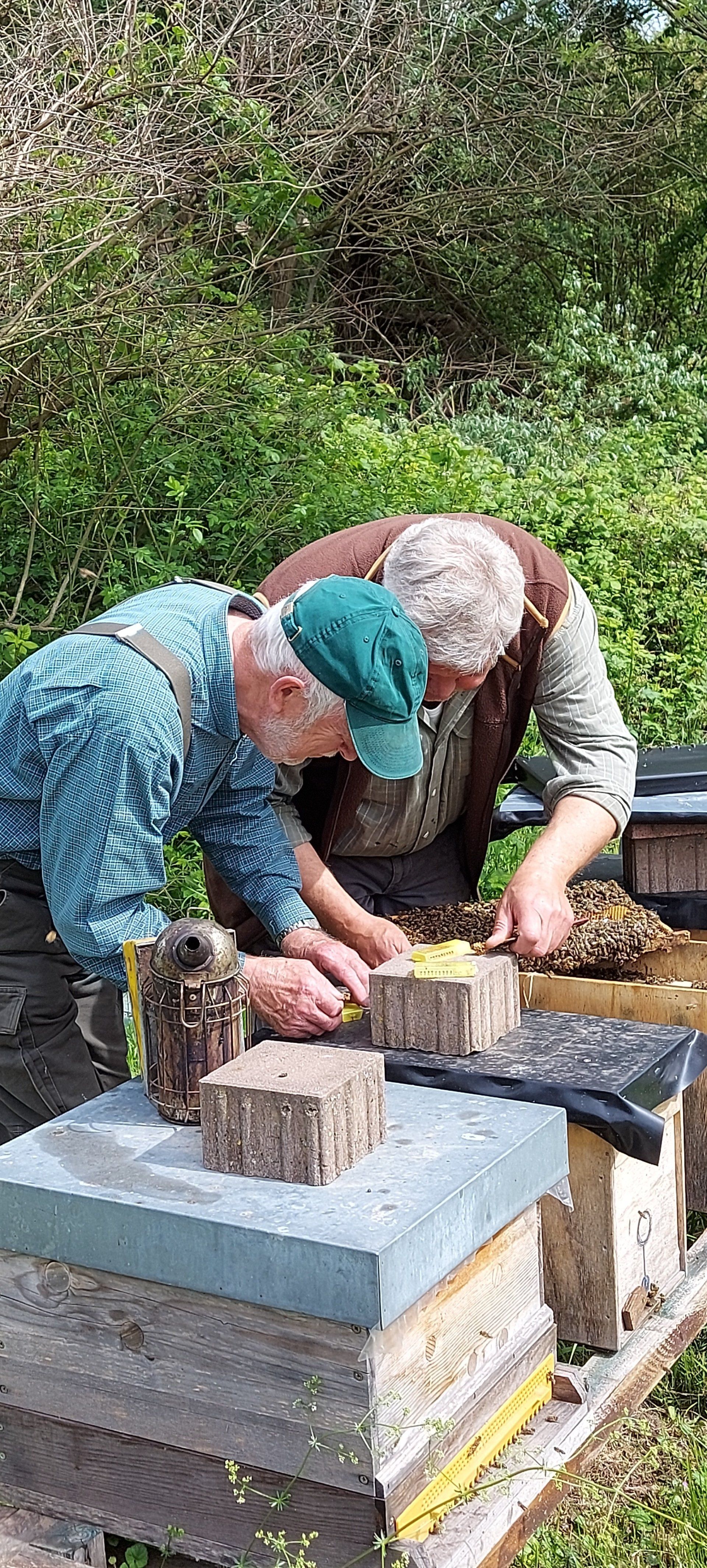 Natur-Imkerei Magers in Bietigheim/Baden, Raum Rastatt/Karlsruhe: Durchsicht der Bienenvölker