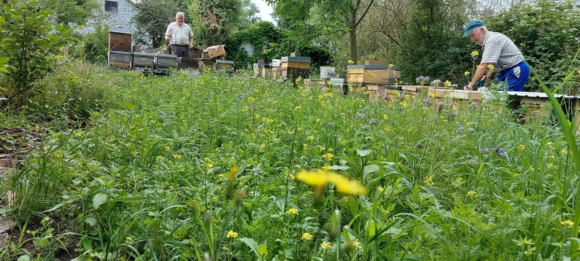 Natur-Imkerei Magers in Bietigheim/Baden, Raum Rastatt/Karlsruhe: Arbeiten im Kollektiv