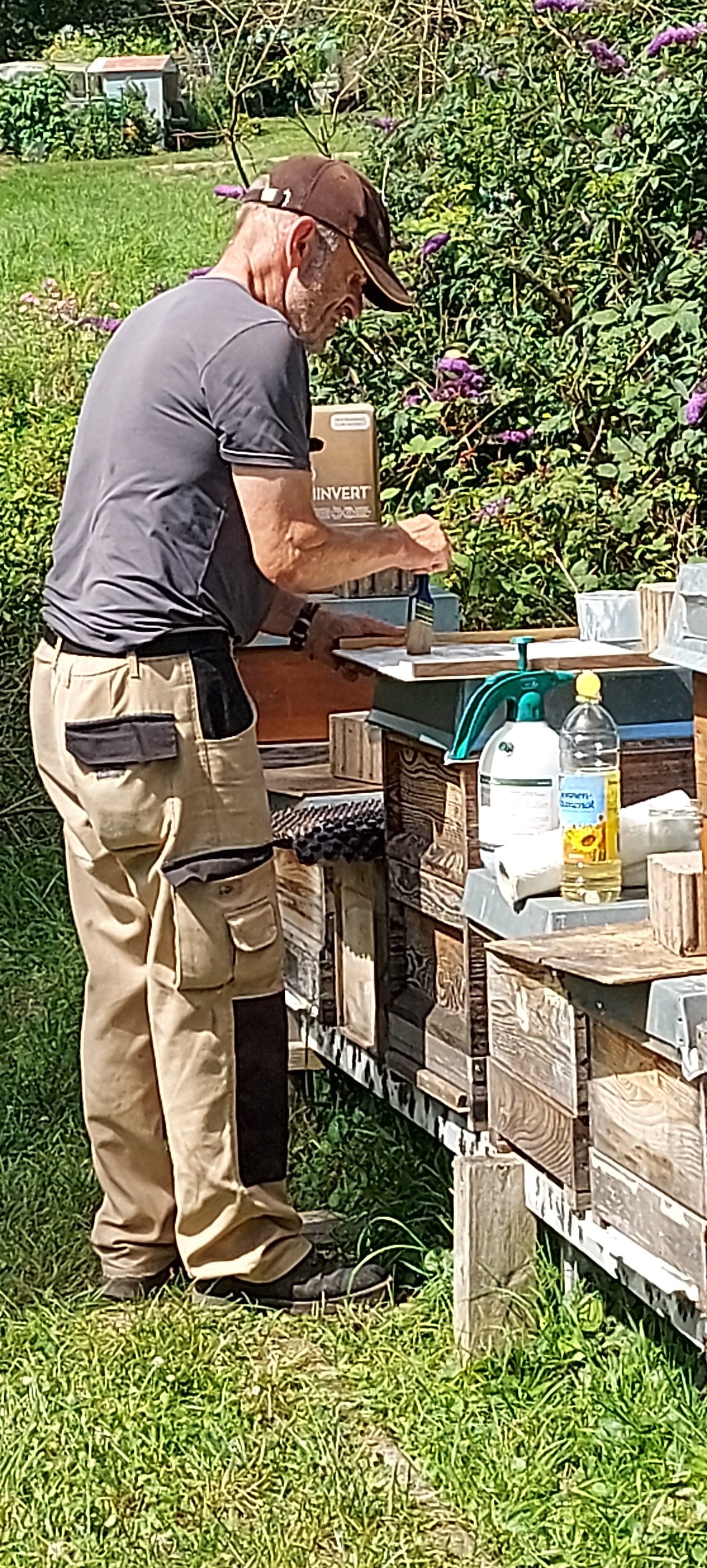Imker Bernd Fütterer aus Elchesheim und Bietigheim bei der Arbeit an einem Bienenvolk