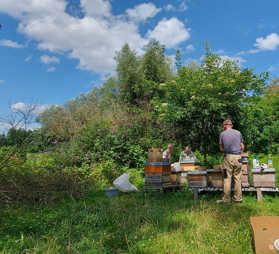Drei Imker in der Natur mit Bienenkästen, locker am Plauschen, Imkerei Magers, Fütterer, Eisen, in Bietigheim bei Karlsruhe