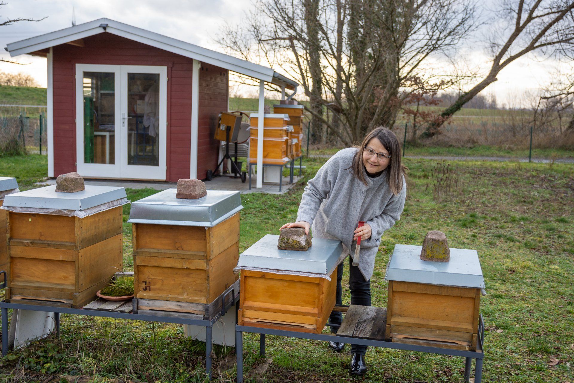 Imkerin Antje Bemmann in Steinmauern vor ihren Bienenvölkern im Garten