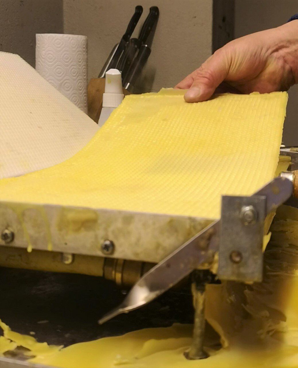 Gepresste-Wachsplatte-entnehmen-Bienen-Magers