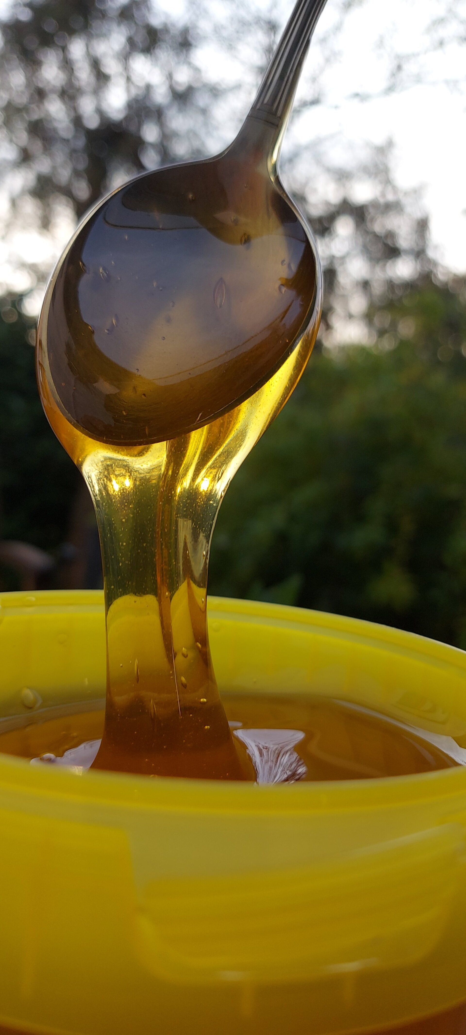 Lindenhonig-kaufen-Baden-Imker-Magers-Bietigheim