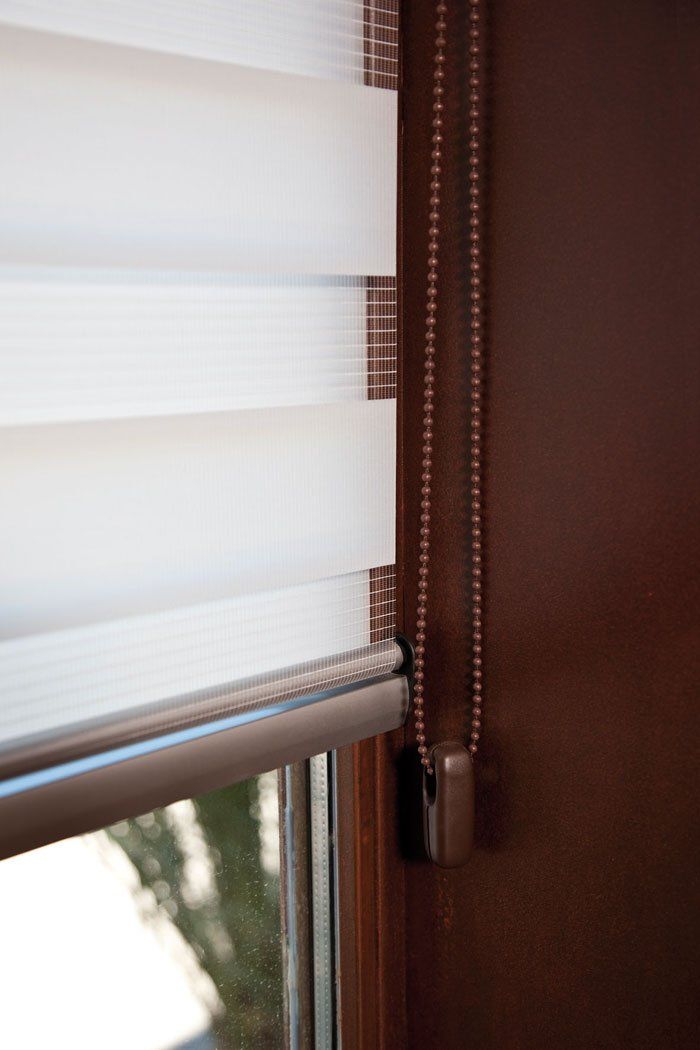 Medusa_Vision- noche y día