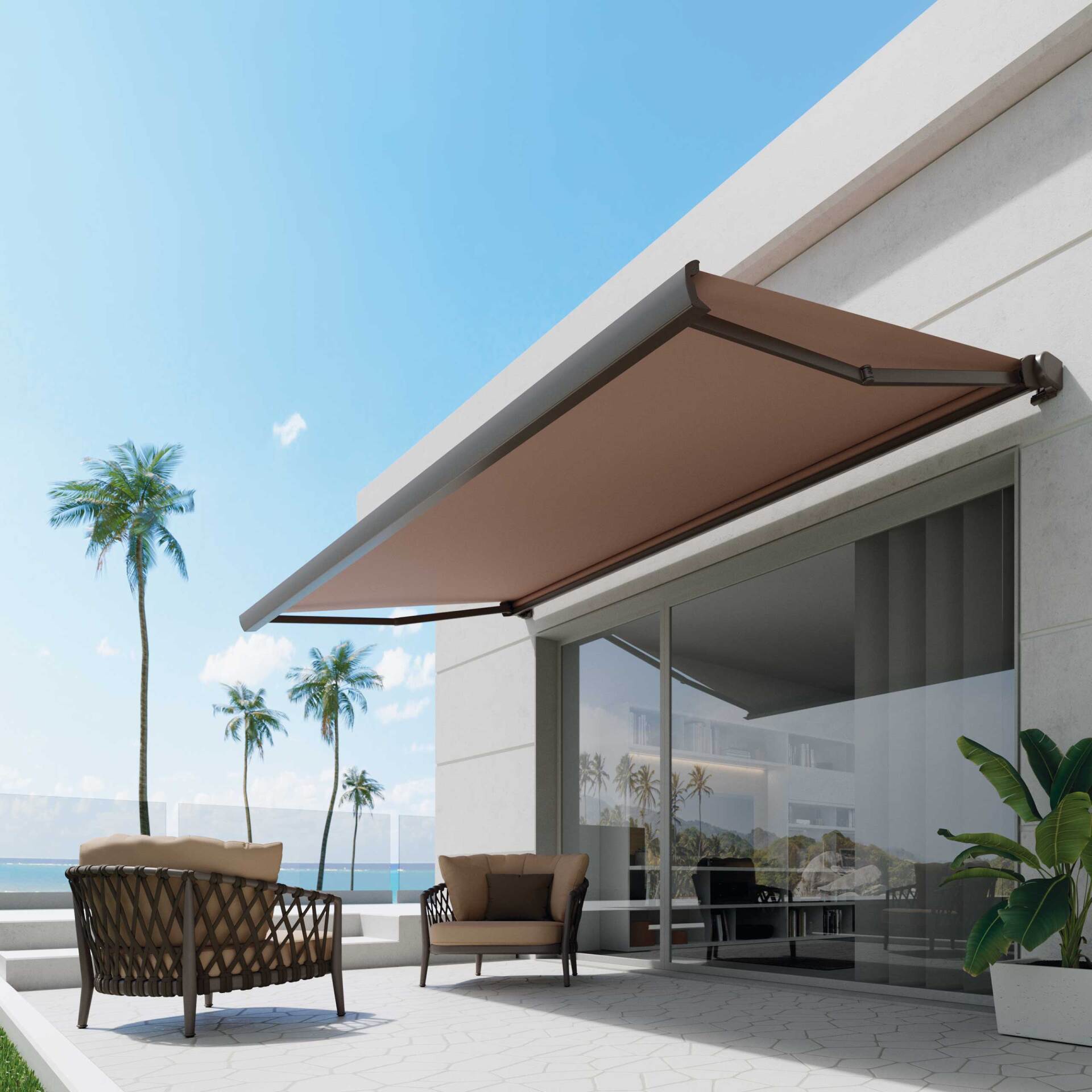 Medusa - Mosquiteras